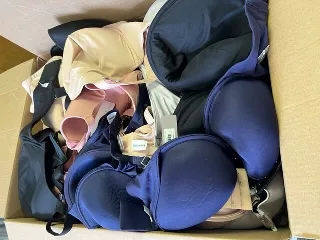 Birdsong / Bare Ladies Bras Wholesale Assortment – 50 PCS