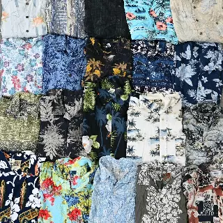 Wholesale Hawaiian Shirts (10 Pieces)